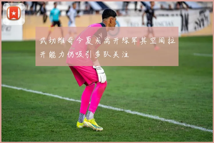 武切维奇今夏或离开绿军其空间拉开能力仍吸引多队关注