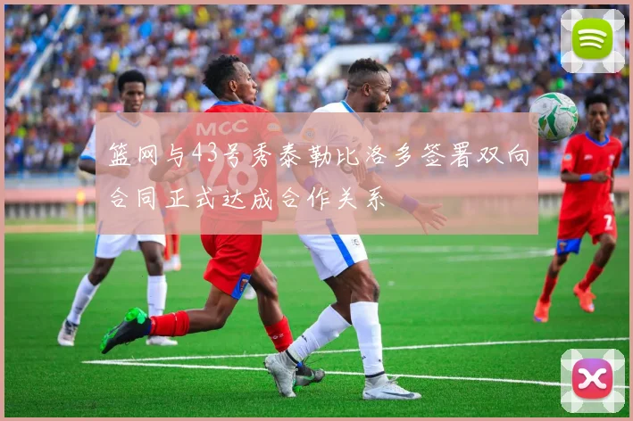 篮网与43号秀泰勒比洛多签署双向合同正式达成合作关系